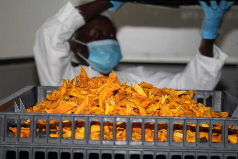 Dried Mango
